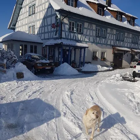 Rose بيت ضيافة *